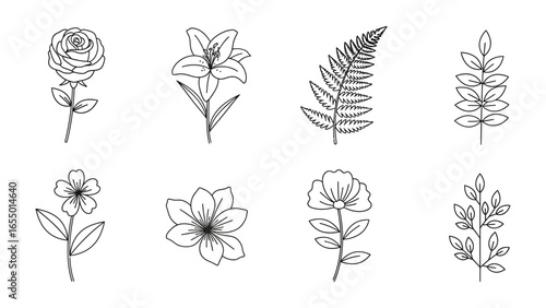 Floral Elegance: A captivating display of botanical illustration, where delicate lines define a rose, lily, fern, and other botanical element, each with a unique form and charm. 