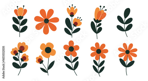 A collection of orange flowers and leaves on white background