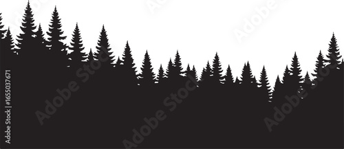 Silhouette of a dense forest of pine trees on a white background evergreen