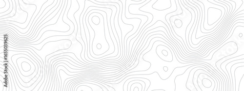 Topographical Landscape Design with Geometric Lines and Grids Mapping Technology, Sea Maps, and Area Spaces in a Modern Pattern
