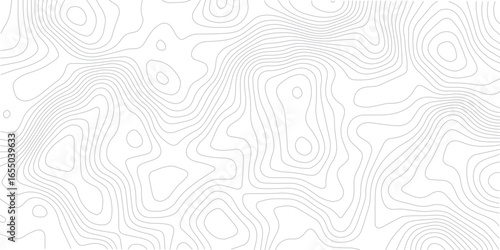 Abstract Geometric Line Pattern Depicting Sea Maps, Topography, and Discovery Areas on a Mounted Grid Landscape
