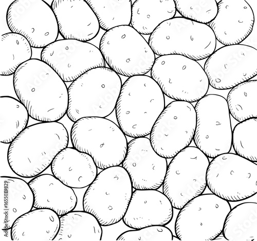 Many potatoes drawn in black and white food agriculture