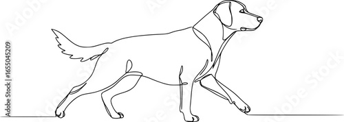 Dog continuous one line art drawing of outline. vector illustration
