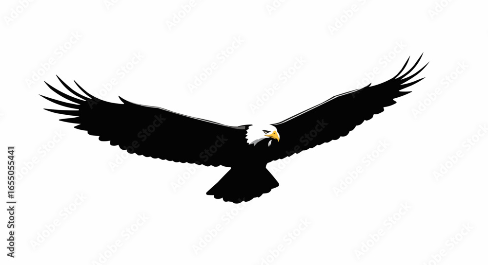Naklejka premium eagle in flight
