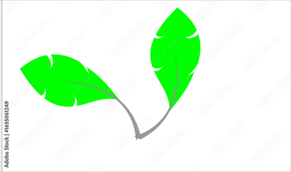 Obraz premium green leaf vector