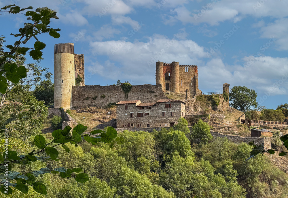 Fototapeta premium Château