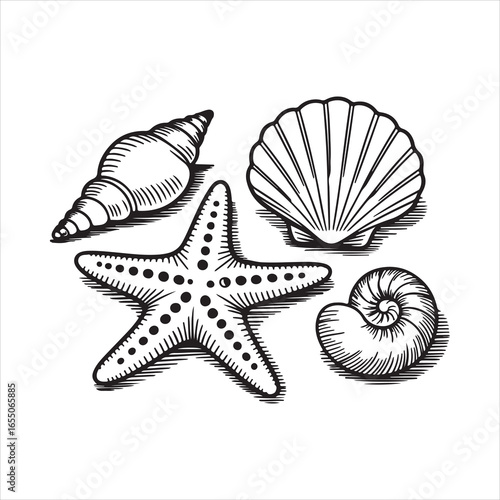 Hand Drawn Starfish and Seashells Illustration,
Vintage Sea Life Sketch with Starfish and Shells,
Black and White Starfish and Shell Collection,
Nautical Marine Elements in Engraved Style,
