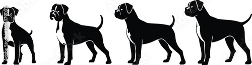 Boxer dog breed silhouettes, muscular standing poses, cropped ears, docked tails, forward and side profile, purebred canine pet illustration, guard animal artwork