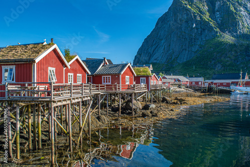Reine, il villaggio di pescatori nelle isole Lofoten (Norvegia), ammirabile attraverso la salita al monte Reinebrigen