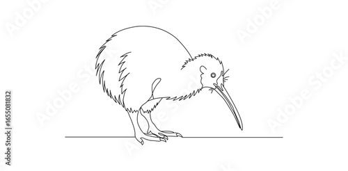 kiwi bird sketch, minimal line art outline illustration of wild animal doodle drawing exotic species isolated concept cartoon vector simple wildlife nature design