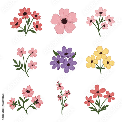 A collection of colorful flowers in various shades and styles on white background