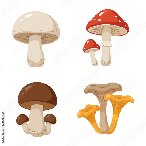 A set of colorful cartoon mushrooms on a white background
