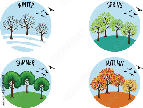 Vibrant seasons cycle: winter, spring, summer, autumn trees in nature