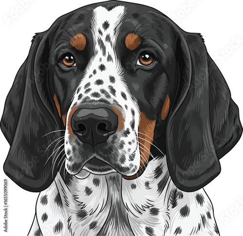 Ariegeois dog face headshot portrait cute vector illustration