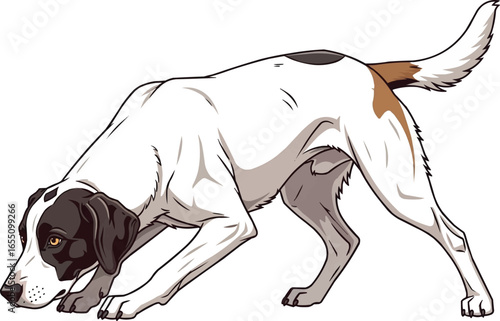 Ariegeois dog in focused tracking pose vector illustration