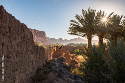 AlUla - Landscape - Oasis (Saudi Arabia)