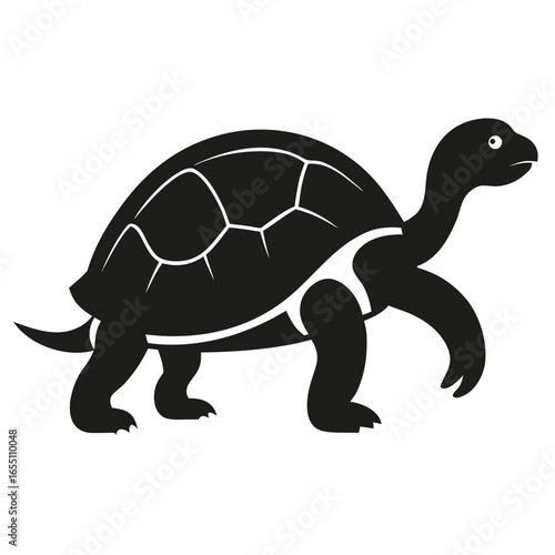 funny turtle cartoon