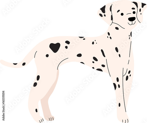 dalmatian dog breed puppy animal clipart