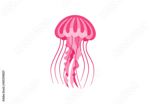 Pink Jellyfish Illustration Aquatic Life Ocean Animal Design.