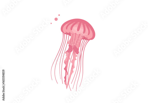 Pink Jellyfish with Long Tentacles Ocean Creature Illustration.
