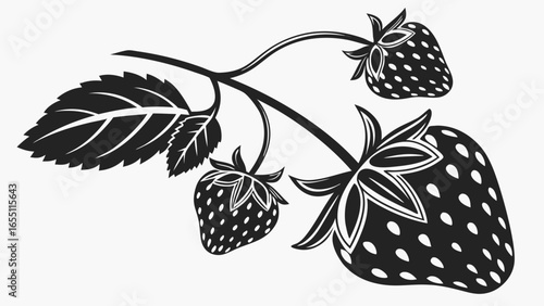 Illustration of a strawberry branch with three berries and a detailed leaf design element vector
