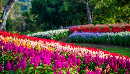 A vibrant display of colorful flowers arranged in terraced rows, showcasing a multitude of hues and textures, creating a beautiful garden scene.