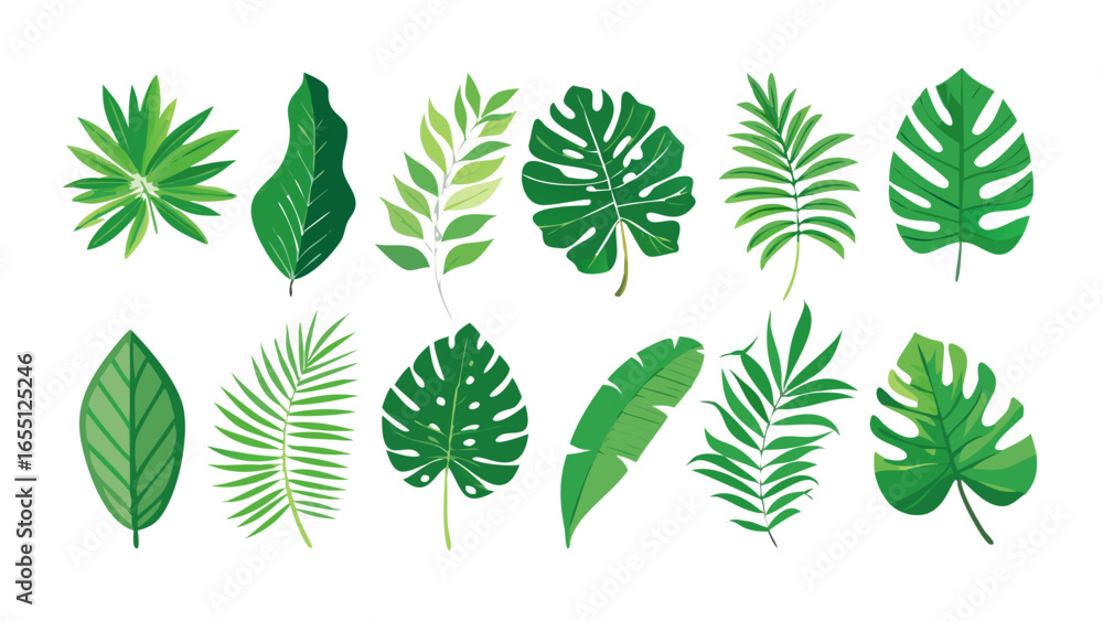 Illustration of green leaves tropical leaves plant leaves nature leaves botanical leaves forest leaves design