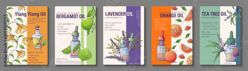Set of 5 vector infographic posters with glass bottles of essential oils: orange, bergamot, ylang-ylang, lavender, and tea tree. Aromatherapy, cosmetic, wellness, and natural care design.