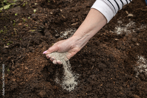 Wallpaper Mural Female farmer fertilizing soil with organic crystalline fertilizer. Gardening and farming. Torontodigital.ca