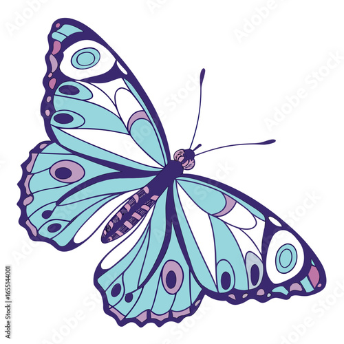 butterfly on white background