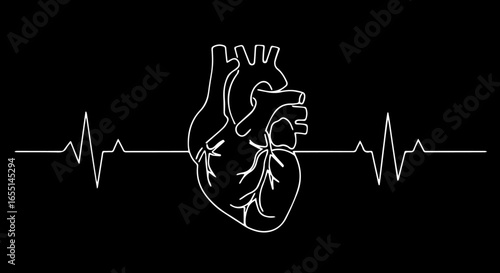 A continuous single white line drawing of an anatomical human heart seamlessly integrated with an EKG heartbeat waveform.