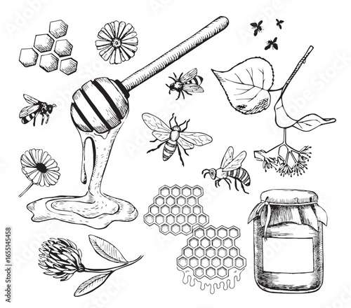 Hand-Drawn Vintage Honey and Beekeeping Elements – Bees, Hives, Flowers, Honeycombs, and Jars Illustration Set