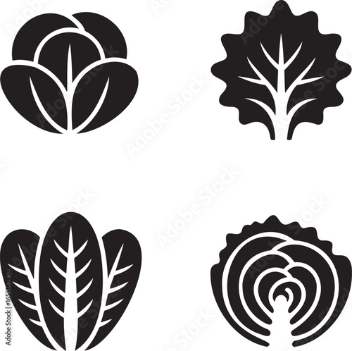Set of Salad Lettuce silhouette vector illustration isolated On Transparent Background