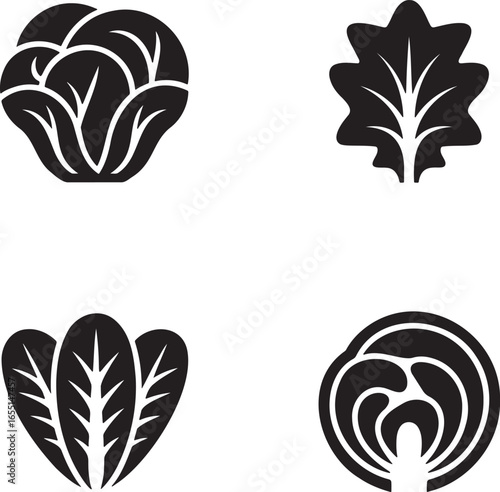 Set of Salad Lettuce silhouette vector illustration isolated On Transparent Background