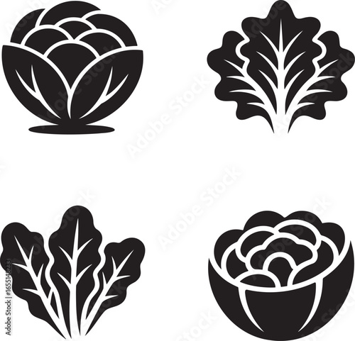Set of Salad Lettuce silhouette vector illustration isolated On Transparent Background
