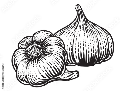 Hand-Drawn Vintage Garlic Illustration – Whole Bulbs and Cloves in Black and White Ink Style