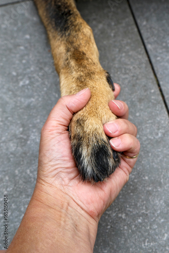 Paw in a hand, holding on, remembrance, loss, friend, friendship, farewell