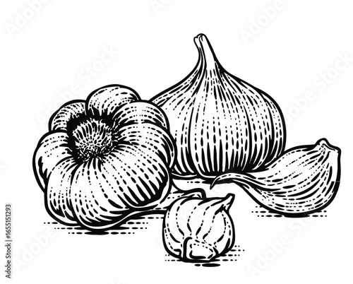 Hand-Drawn Vintage Garlic Illustration – Whole Bulbs and Cloves in Black and White Ink Style