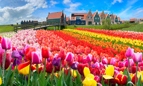 Fototapeta Naklejka Na Ścianę i Meble -  rural dutch country street of small old town Volendam, Netherlands