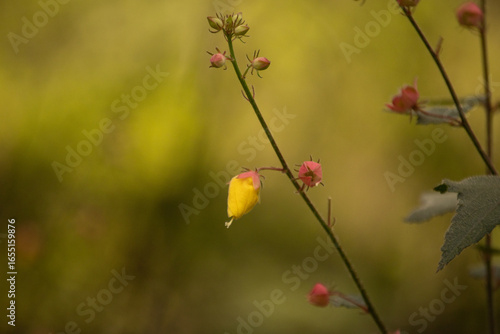 naturaleza