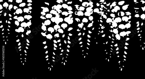 Highcontrast graphic of hanging wisteria flower clusters in a bold white silhouette style.