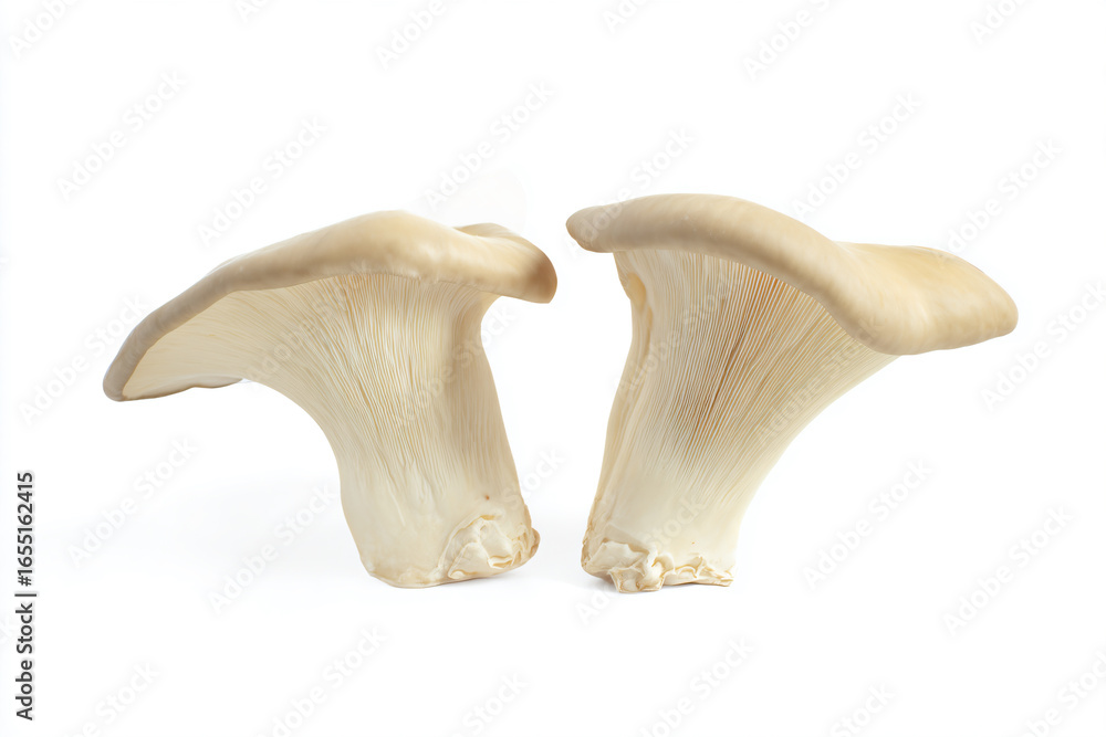 Fototapeta premium two mushrooms are shown on a white surface