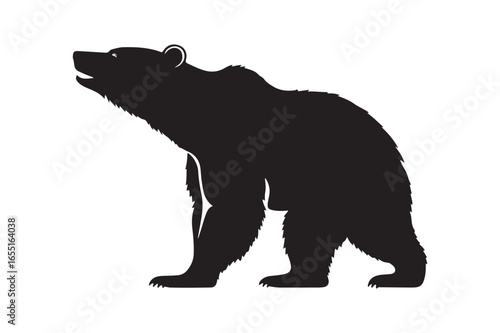 Silhouette of a grizzly bear standing on hind legs