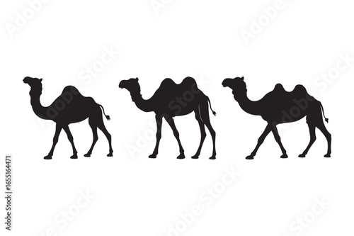 Three black silhouette camels walking in a row
