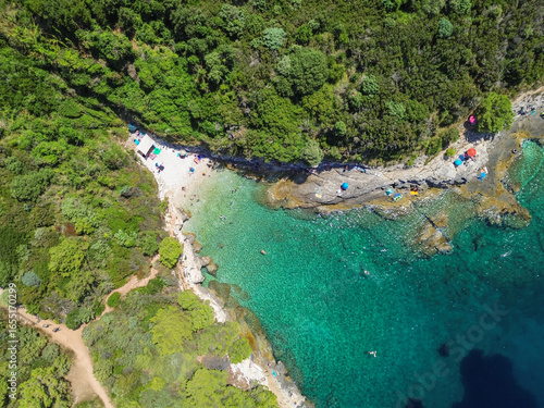 Fototapeta Naklejka Na Ścianę i Meble -  Aerial view of beach and clear water in Cape Kamenjak nature park, Istria, Croatia
