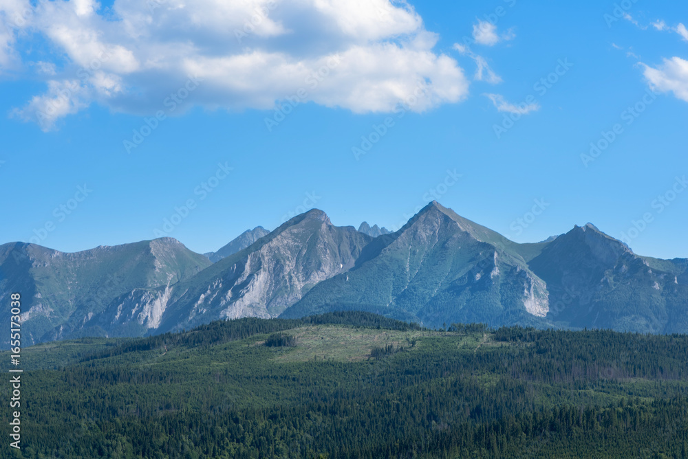 Fototapeta premium mount hood oregon