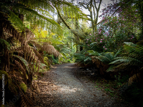 Kells Bay Garden in Ireland, Wild Atlantic Way