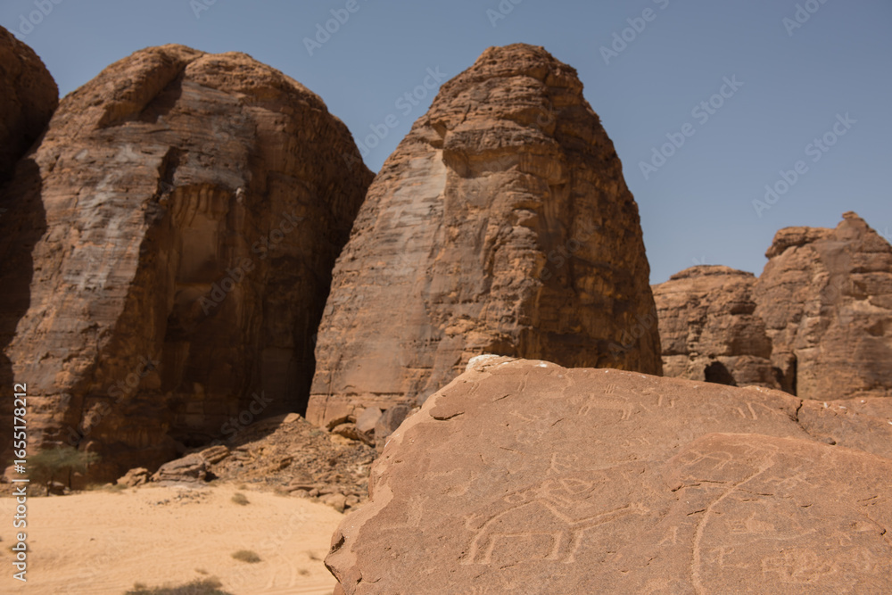 Fototapeta premium AlUla Archaeology Rock Art (Saudi Arabia)