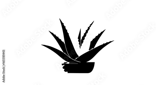 Stylized black silhouette of a potted aloe vera plant with spiky pointed leaves.