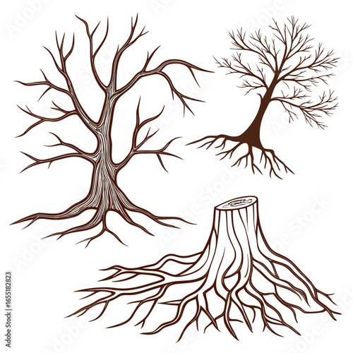 Various brown tree or shrub roots. Parts of plant, root system with tree stump. Dendrology, study of woody plants. Sketch drawing. Vector illustration